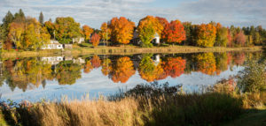 haley pond