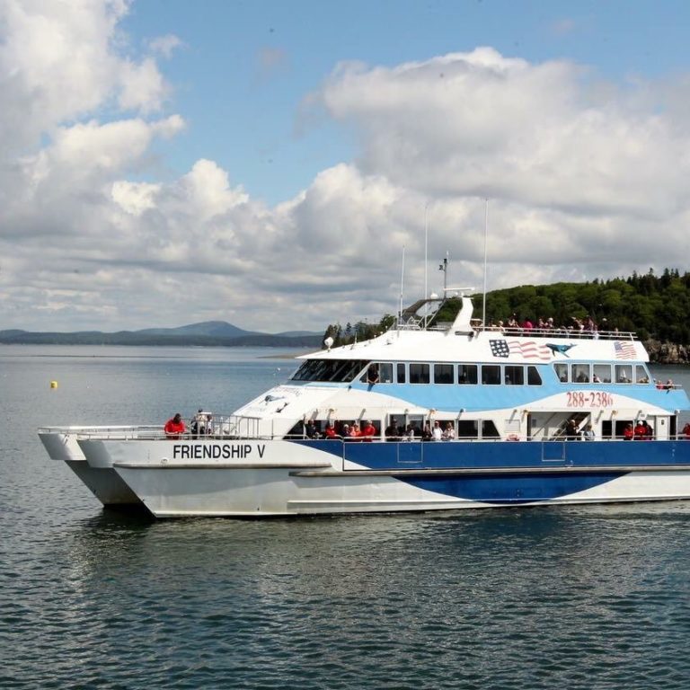 Whale Watching in Maine - SkoutTravel