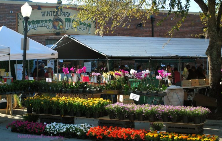 winter park farmers market 1 - SkoutTravel