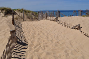 entrance to race point beach provincetown credit tim grafftmott 7115621841 o scaled