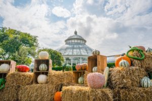 NYBG Great Pumpkin Path MCO A9 07160 scaled