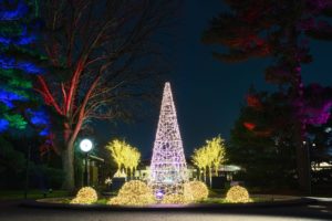 NYBG GLOW MCO A9 09588 scaled Photo by Marlon CoThe New York Botanical Garden